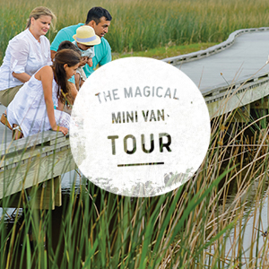 Family standing on bridge looking out over swamp