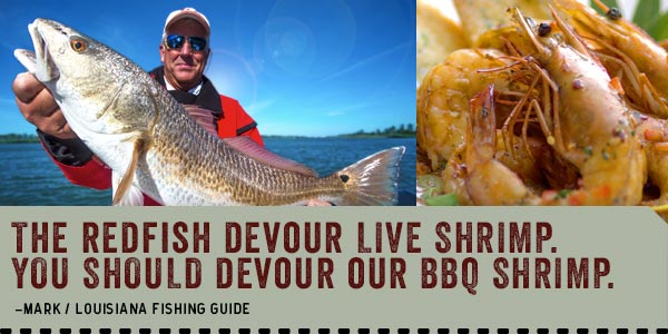 The redfish devour live shrimp. You should devour our BBQ shrimp.